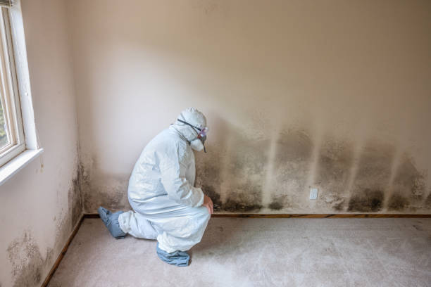 Best Comprehensive Air Testing for Mold Contaminants  in , VT